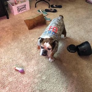 Meet your Posher, Brett